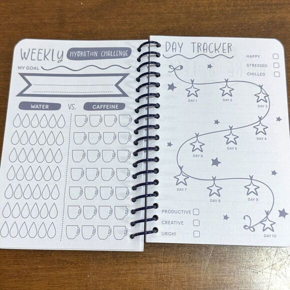 Small Notebook Spiral 4x6 Journal Goal Setting Trackers - Picture 5 of 6